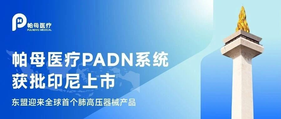 帕母医疗PADN系统获批印尼上市，东盟迎来全球首个肺高压器械产品